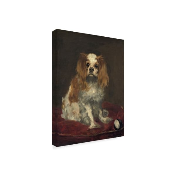 Edouard Manet 'A King Charles Spaniel' Canvas Art,35x47